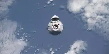 Agriculture spatiale : Le rooibos d'Afrique du Sud s'envole vers l'ISS