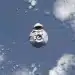 Agriculture spatiale : Le rooibos d'Afrique du Sud s'envole vers l'ISS