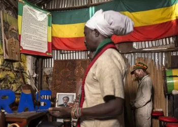 Vers la légalisation du cannabis au Kenya ? Verdict constitutionnel historique le 15 juillet