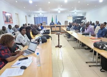 Sécurité alimentaire au Congo : Le plan pour éradiquer les ravageurs et les nuisibles