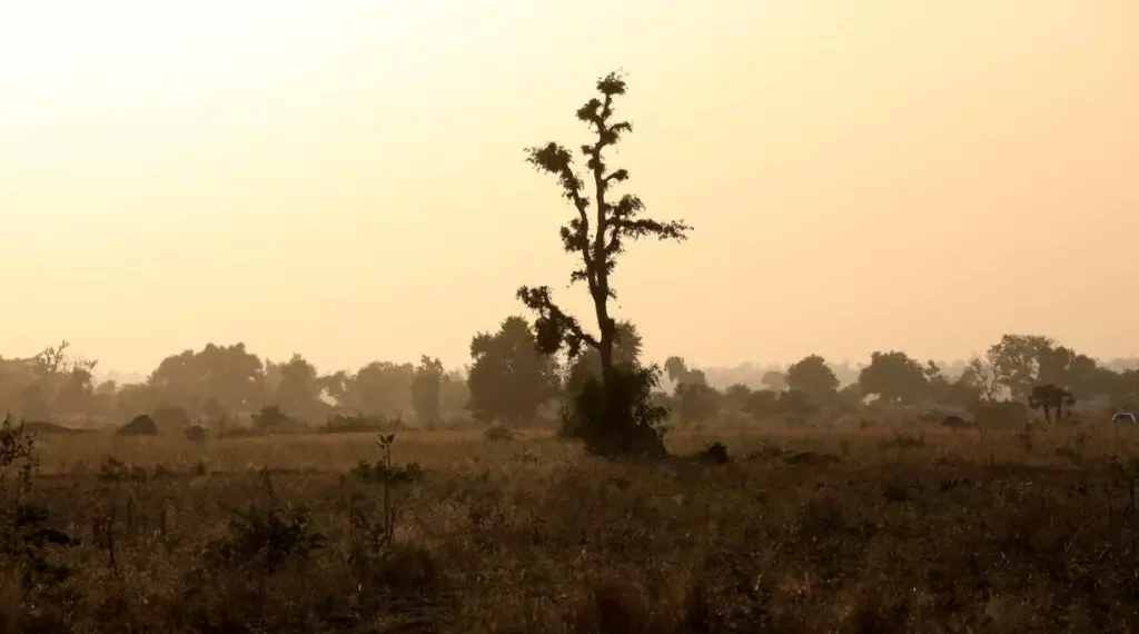 Nigeria : Vague de terreur à Zamfara, au moins 40 femmes et enfants enlevés par un gang de bandits armés