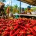 L'or rouge du Congo : Comment le piment de Makoua s'impose sur les tables du monde