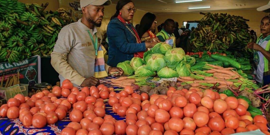 Diversification économique au Congo : L'agriculture et les ZAP en première ligne pour réussir la souveraineté alimentaire