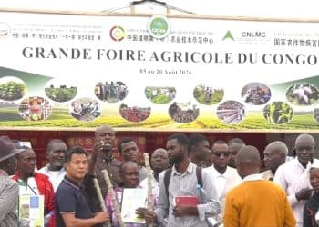 xSouveraineté alimentaire au Congo : Le CDTA de Kombé forme les producteurs aux techniques du manioc à haut rendement