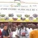xSouveraineté alimentaire au Congo : Le CDTA de Kombé forme les producteurs aux techniques du manioc à haut rendement