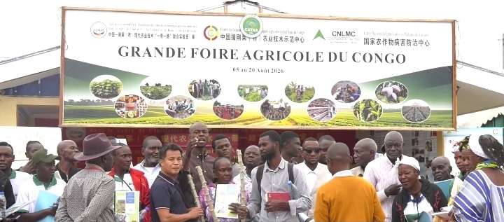 xSouveraineté alimentaire au Congo : Le CDTA de Kombé forme les producteurs aux techniques du manioc à haut rendement