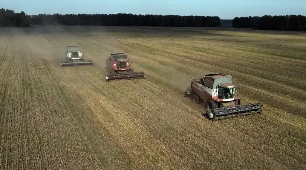 Sécurité alimentaire : La Russie dote l'Afrique de 5 millions de tonnes de céréales au 1er semestre 2026