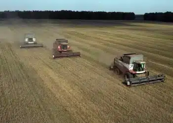 Sécurité alimentaire : La Russie dote l'Afrique de 5 millions de tonnes de céréales au 1er semestre 2026