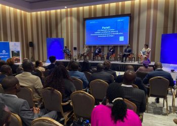 Diversification économique au Congo : La Banque mondiale et l'IFC ciblent quatre filières à fort potentiel, mais le patronat exige l'accès à l'énergie