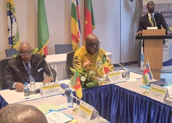 Gouvernance et intégration énergétique en zone CEMAC : À Libreville, Bruno Jean Richard Itoua fait valider la création du Système d'information énergétique communautaire