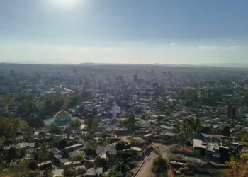 Guerre dans le Nord de l'Éthiopie : Vingt-quatre heures après l'aéroport, l'armée fédérale fait son entrée dans Mekele après la fuite des chefs du TPLF